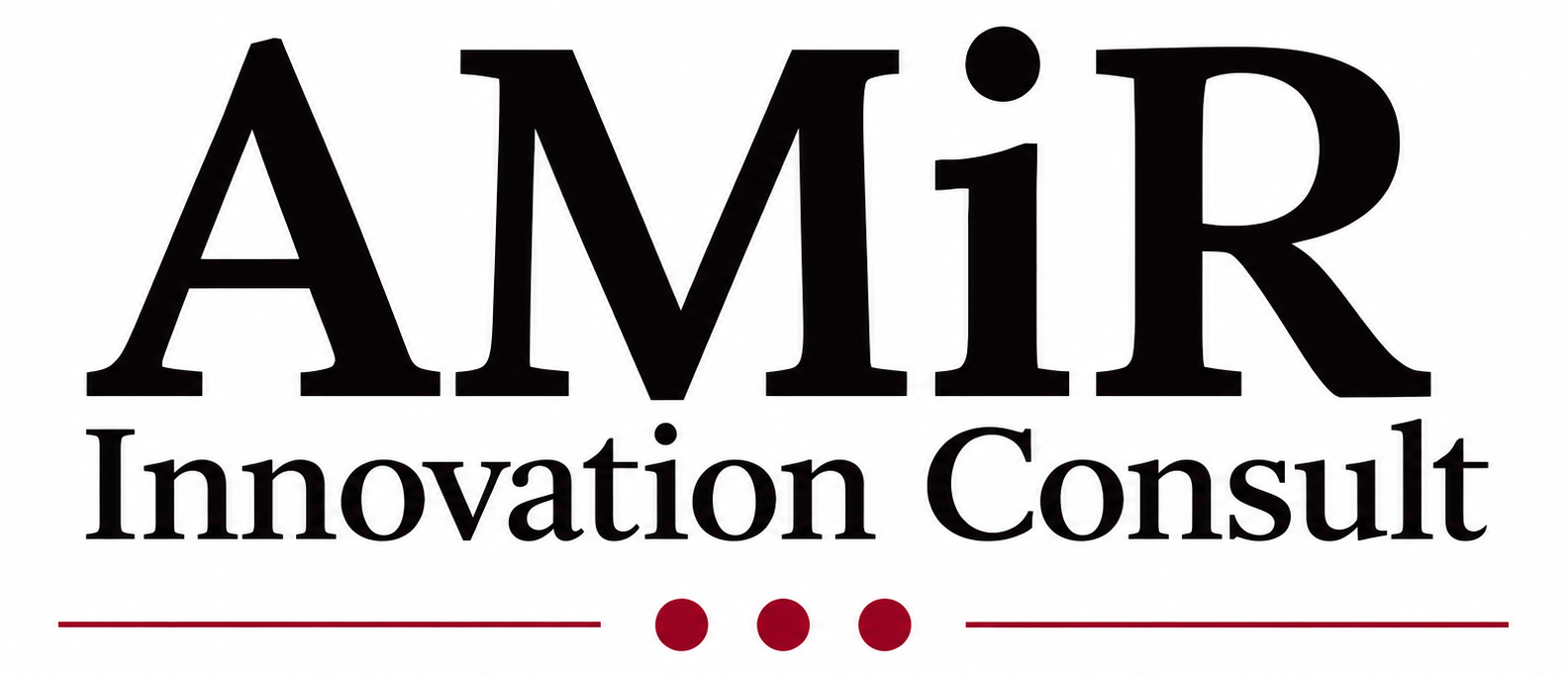AMIR Innovation Consult